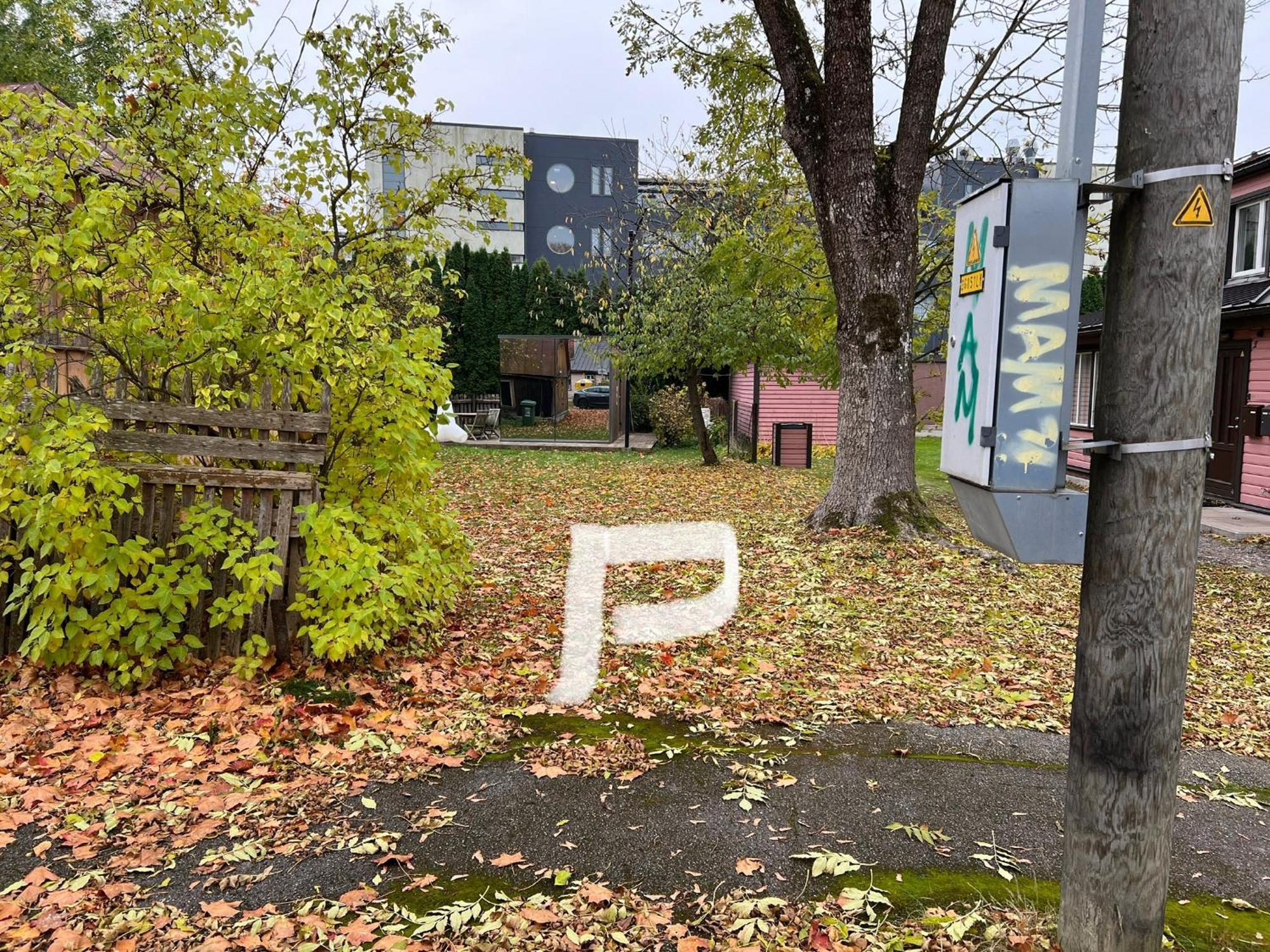 Mirror House Roosi 21 Villa Pärnu Eksteriør billede